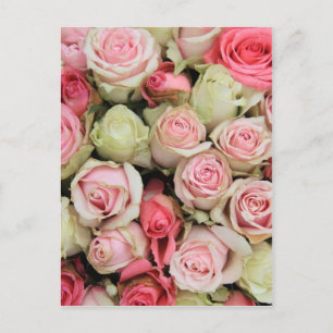 Postal Rosas rosados por Therosegarden