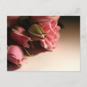 Postal Rosas rosas rosas