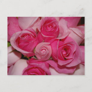Postal Rosas rosas rosas - Postcard