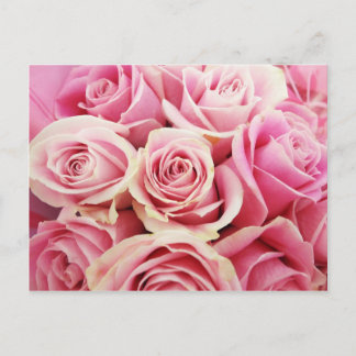 Postal Rosas rosas rosas rosas Rose Bouquet Rosey Flores