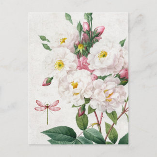 Postal Rosas rosas y blancas y rosadas vintage