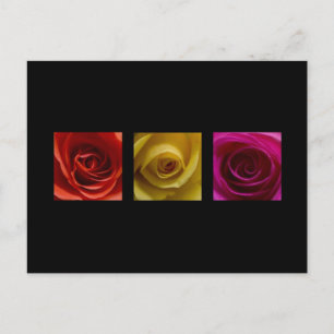 Postal Rosas trípticos naranja rosa amarillo