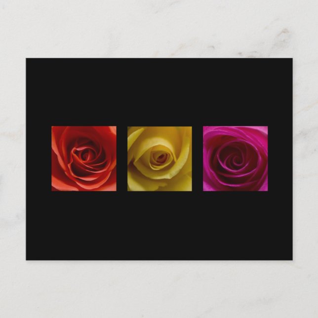 Postal Rosas trípticos naranja rosa amarillo (Anverso)