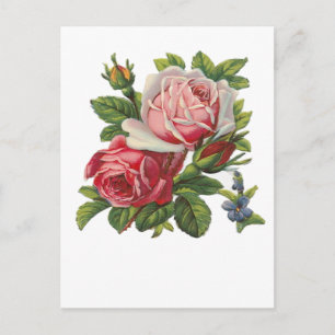 Postal Rosas VINTAGE