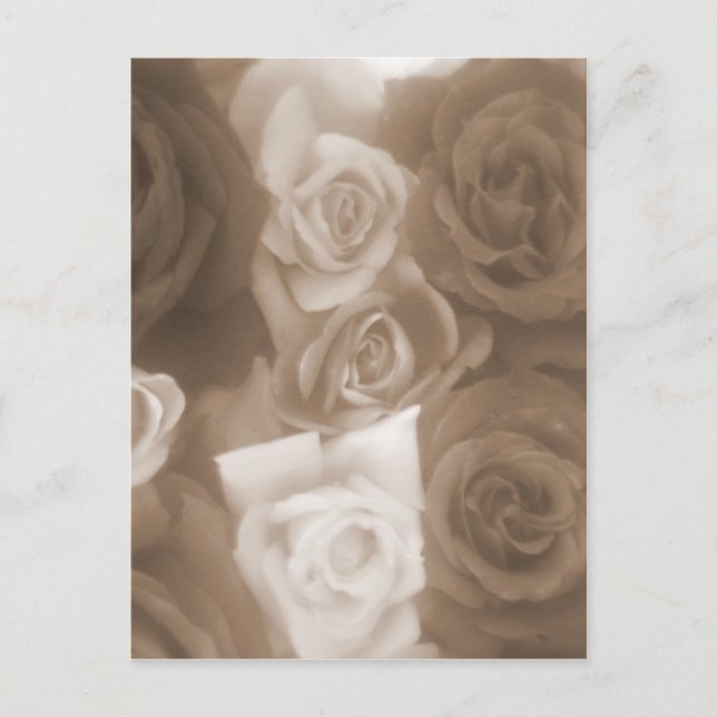 Postal rosas vintage (Anverso)