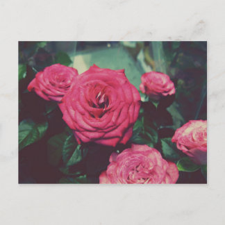 Postal Rosas Vintage I