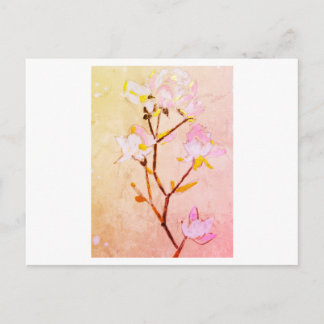 Postal Rose