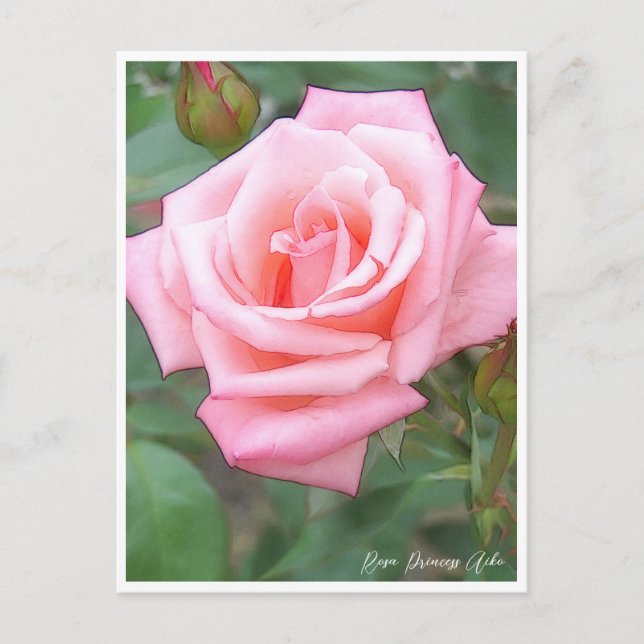 Postal Rose Garden (Anverso)