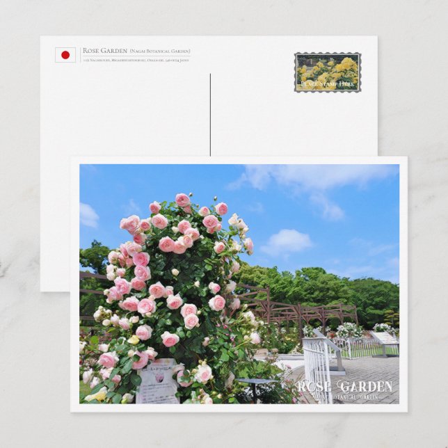 Postal Rose Garden (Anverso / Reverso)
