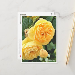 Postal Rose Garden