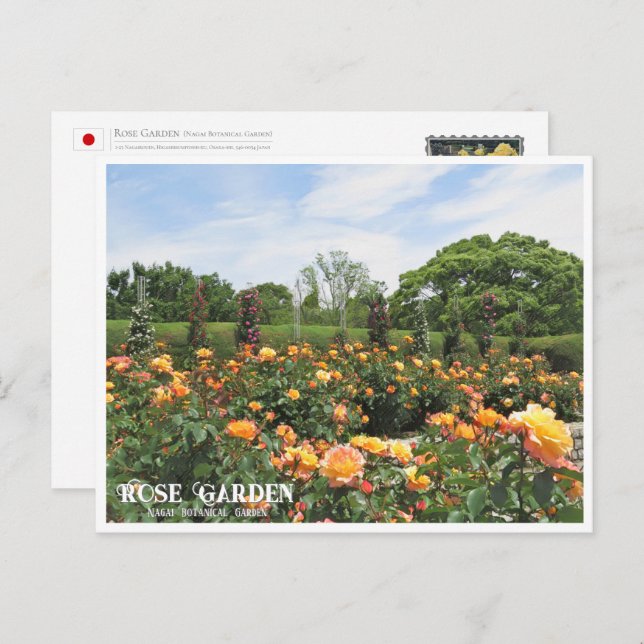 Postal Rose Garden (Nagai Botanical Garden) ポストカード (Anverso / Reverso)
