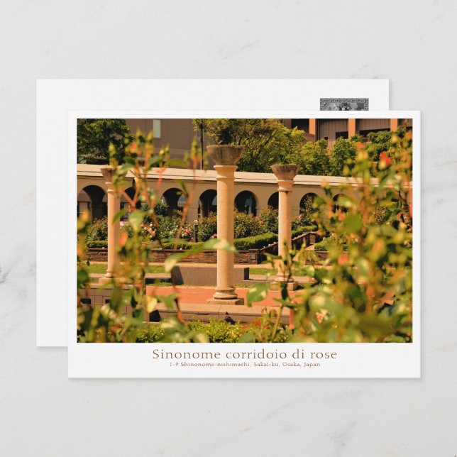 Postal Rose Garden Scenery (Anverso / Reverso)