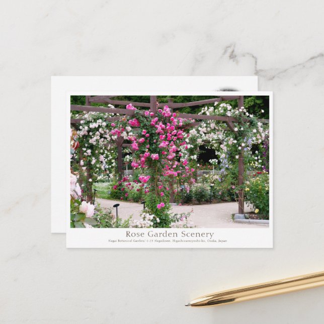 Postal Rose Garden Scenery (Anverso/Reverso In Situ)