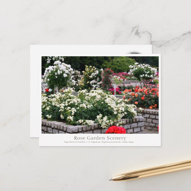 Postal Rose Garden Scenery (Anverso/Reverso In Situ)