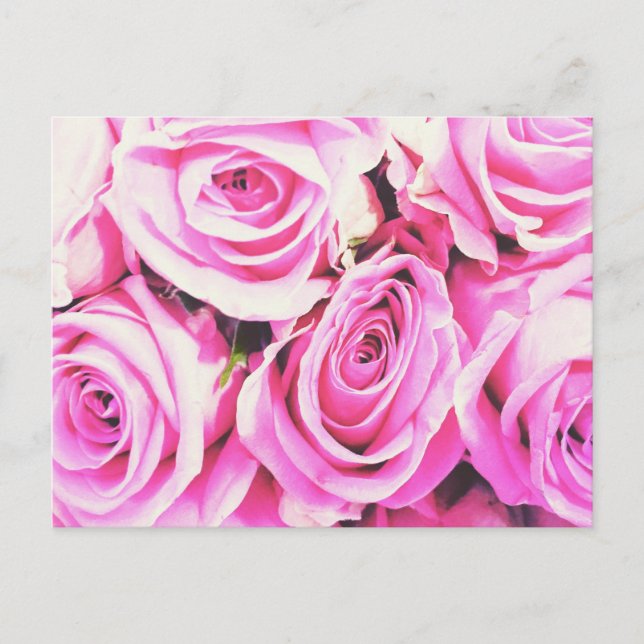 Postal rose roses pink bunch flowers card Postcard (Anverso)