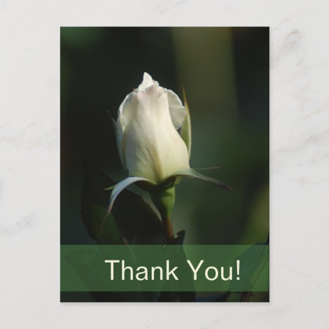 Postal Rosebud blanco (Anverso)