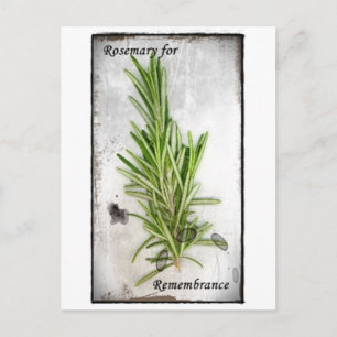 Postal Rosemary