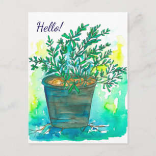 Postal Rosemary Herb Watercolor Hello