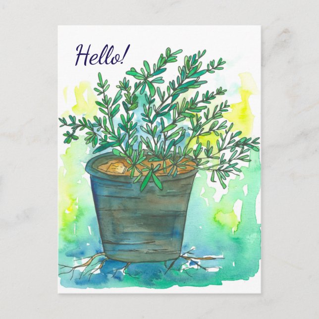 Postal Rosemary Herb Watercolor Hello (Anverso)