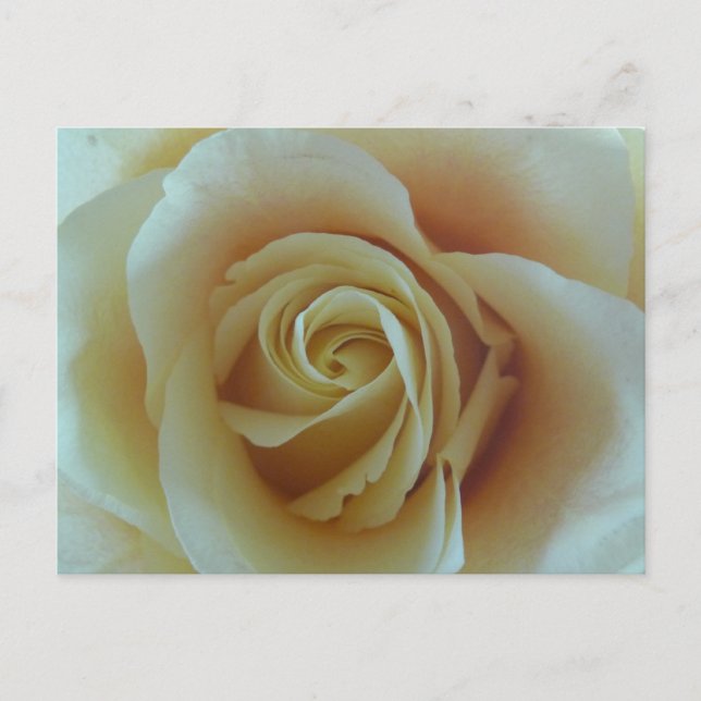 Postal Rosentraum (Anverso)