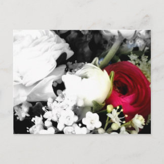 Postal Rosenweissundrot