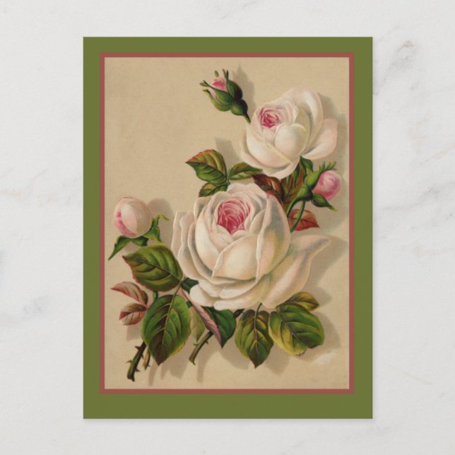 Postal Roses Blancas Redondas (Anverso)