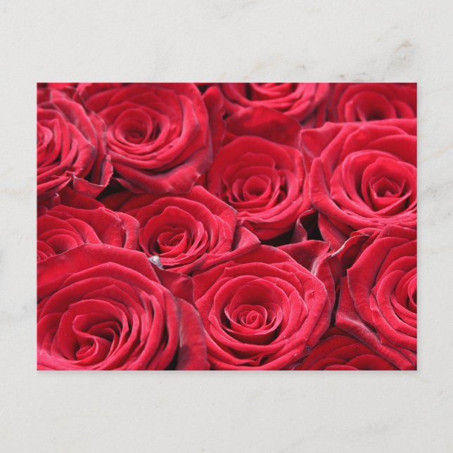 Postal Roses rojos (Anverso)