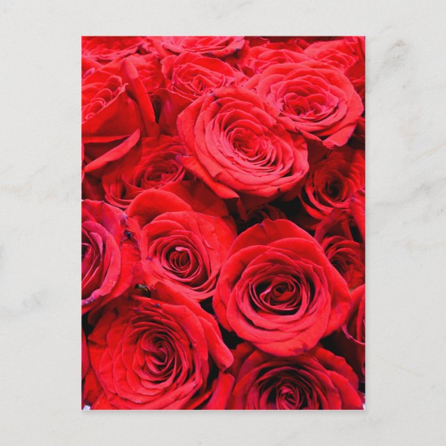 Postal Roses rojos (Anverso)