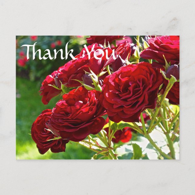Postal Roses Rojos Gracias (Anverso)