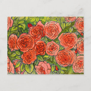 Postal Roses rojos, hojas verdes Rosa boceto de flores en