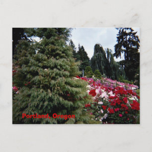 Postal Rosey Landscape Portland, Oregón