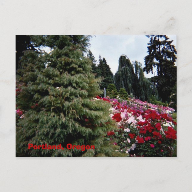 Postal Rosey Landscape Portland, Oregón (Anverso)
