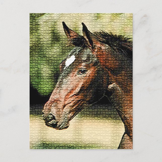 Postal Rostro de mosaicos de caballos (Anverso)