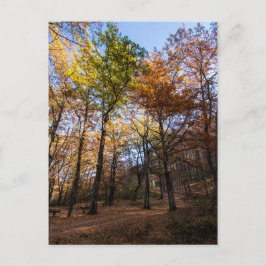 Postal Rotino, Macedonia