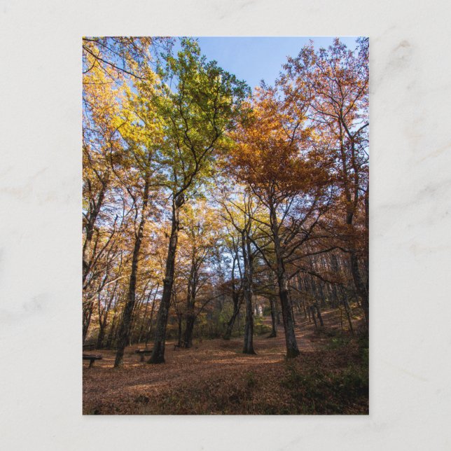 Postal Rotino, Macedonia (Anverso)