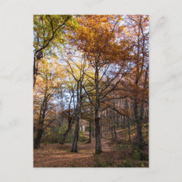 Postal Rotino, Macedonia