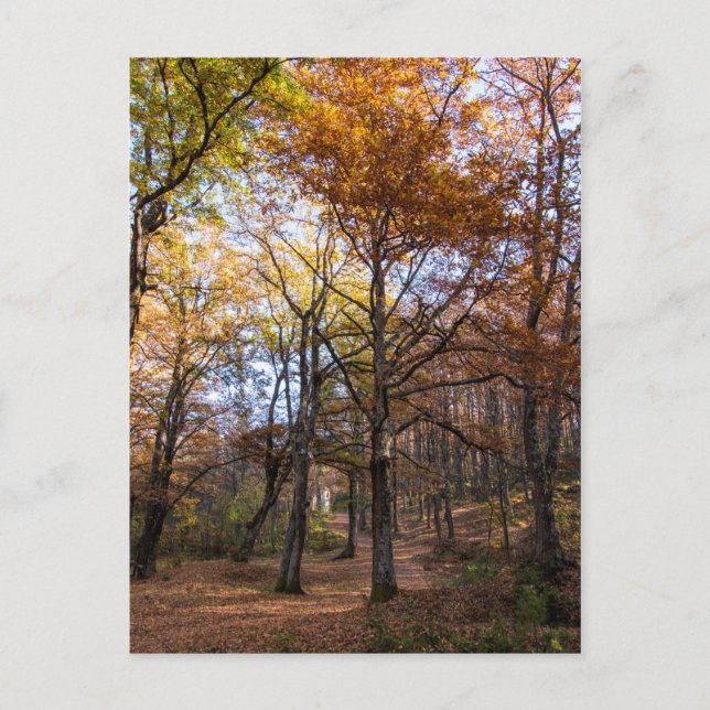 Postal Rotino, Macedonia (Anverso)