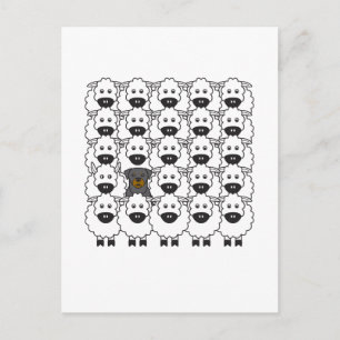 Postal Rottie en la oveja