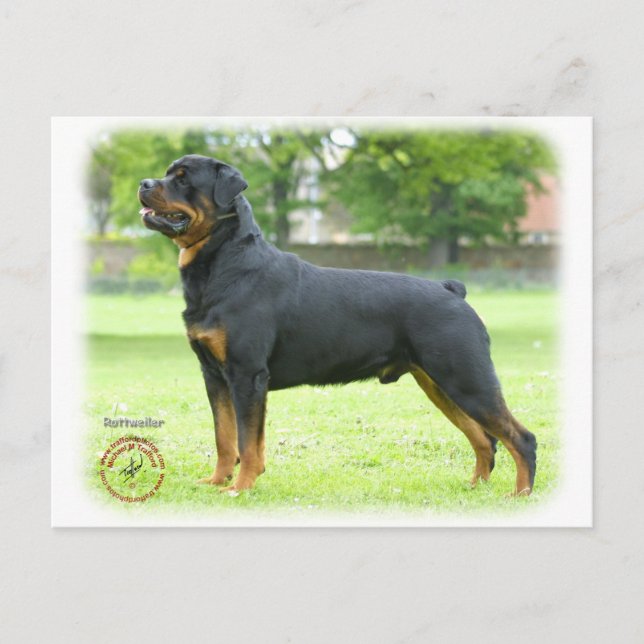 Postal Rottweiler (Anverso)
