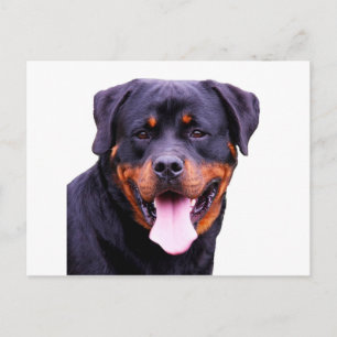 Postal rottweiler