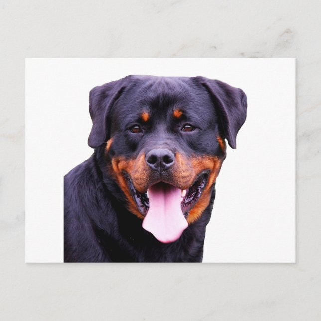 Postal rottweiler (Anverso)