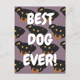 Postal Rottweiler