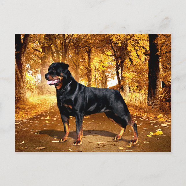 Postal Rottweiler (Anverso)