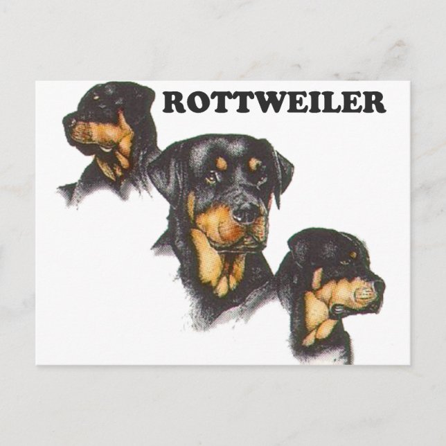Postal Rottweiler (Anverso)