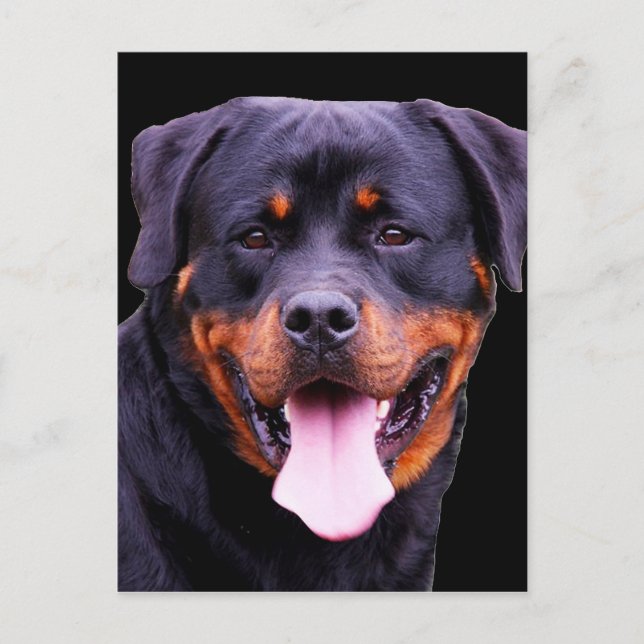Postal "Rottweiler" (Anverso)
