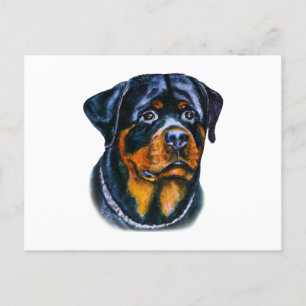 Postal Rottweiler acuarela