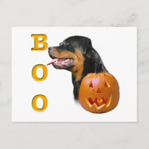 Postal Rottweiler Boo