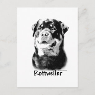 Postal Rottweiler Charcoal