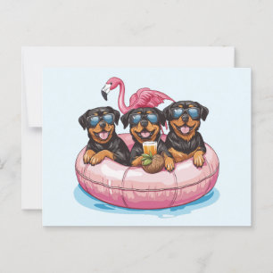 Postal Rottweiler Dogs Flamingo Summer Pool Tube