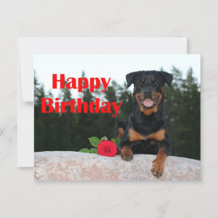 Postal rottweiler feliz cumpleaños